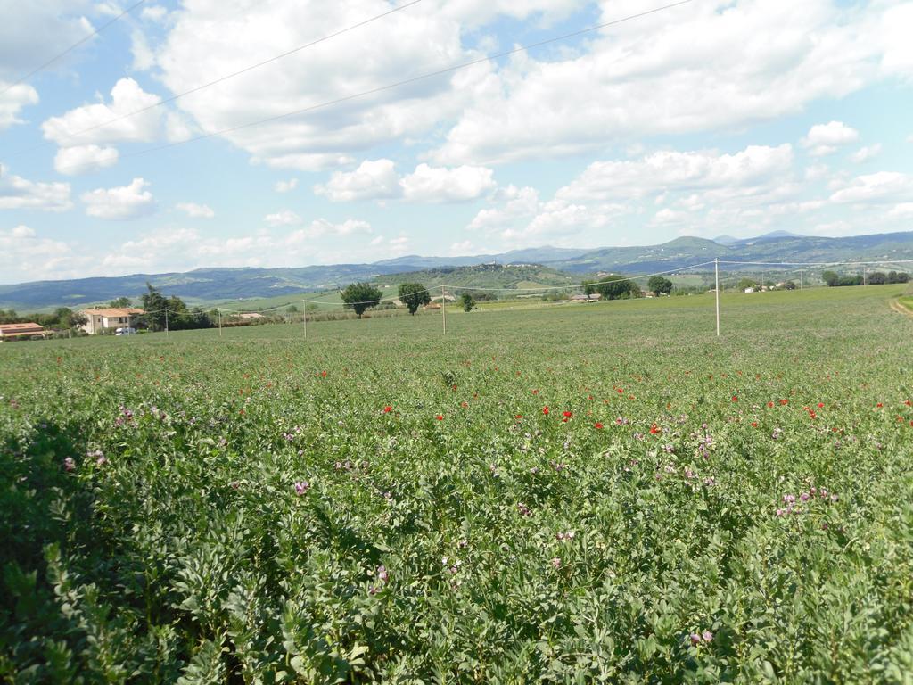 Agriturismo Il Giardino Saturnia Extérieur photo