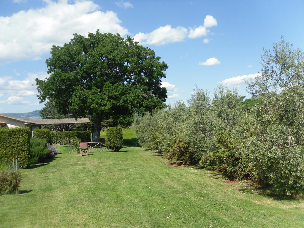 Agriturismo Il Giardino Saturnia Extérieur photo